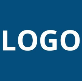 Default Company Logo