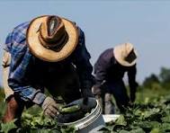 Tin tức xuất khẩu lao động Canada